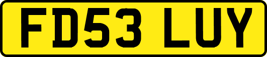 FD53LUY