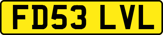 FD53LVL