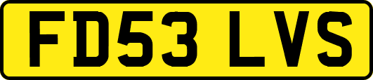 FD53LVS