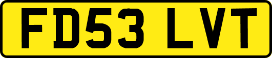FD53LVT