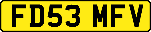 FD53MFV
