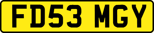 FD53MGY