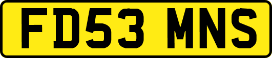 FD53MNS
