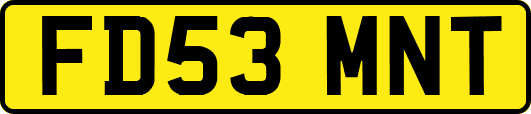 FD53MNT