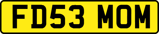 FD53MOM