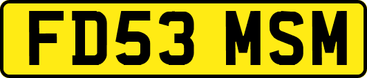 FD53MSM