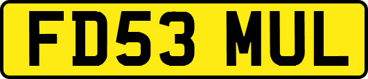 FD53MUL