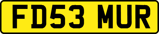 FD53MUR