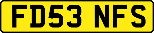 FD53NFS