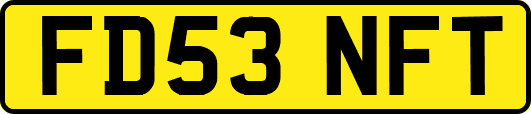FD53NFT