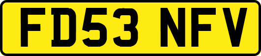 FD53NFV