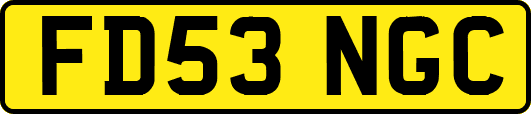 FD53NGC