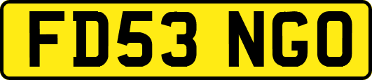 FD53NGO