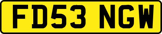 FD53NGW