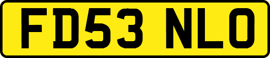 FD53NLO