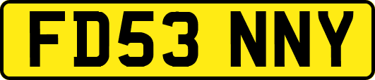 FD53NNY