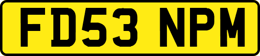 FD53NPM