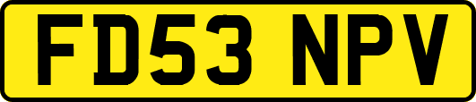 FD53NPV