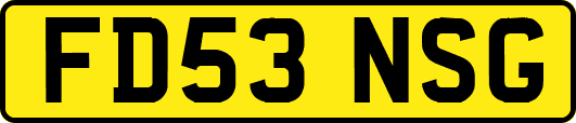 FD53NSG