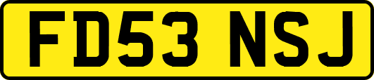 FD53NSJ