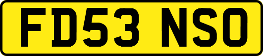 FD53NSO