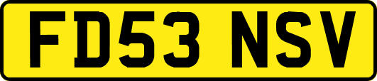 FD53NSV