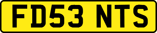 FD53NTS