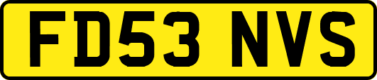 FD53NVS