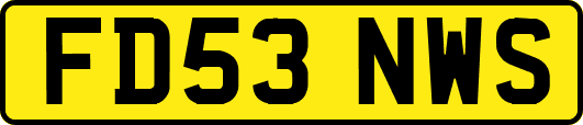 FD53NWS