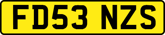 FD53NZS