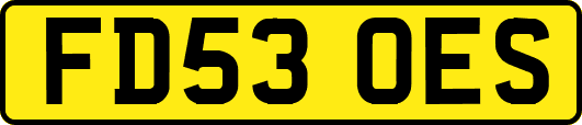 FD53OES