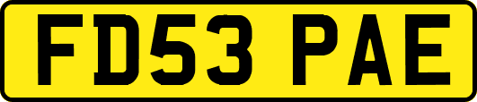 FD53PAE
