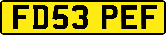 FD53PEF