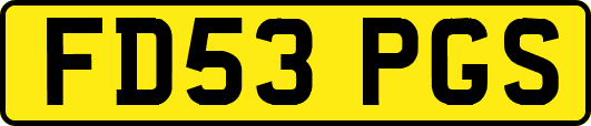 FD53PGS
