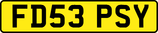 FD53PSY