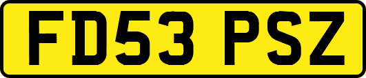 FD53PSZ