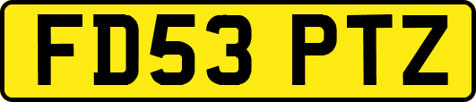 FD53PTZ