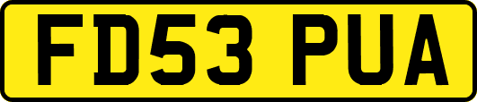 FD53PUA