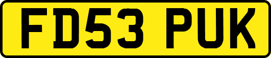 FD53PUK