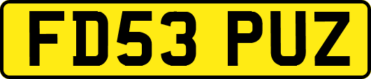 FD53PUZ
