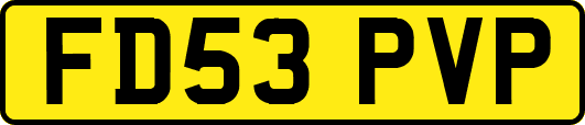 FD53PVP