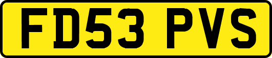 FD53PVS