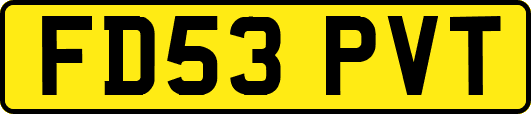 FD53PVT