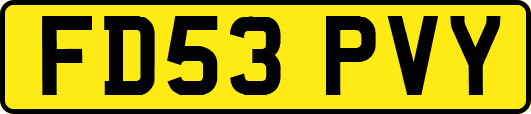 FD53PVY