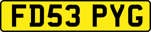 FD53PYG
