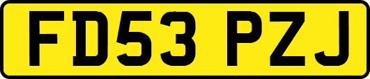 FD53PZJ
