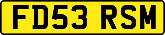 FD53RSM