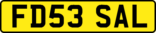 FD53SAL