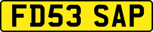 FD53SAP