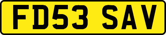FD53SAV
